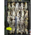 Squid congelada sobrando tentáculos Nototodarus Sloanii 200-300g